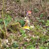 04 Aktion April 25 Feen und Wichtelwald